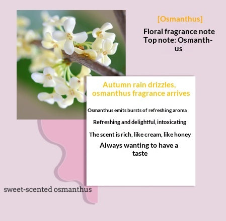 Atmosphere Creative Indoor Home Coffee Scented Candle