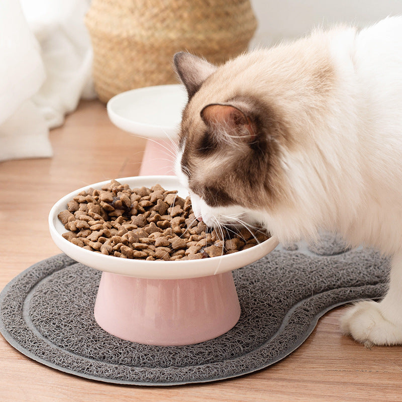 Protective Ceramic Cat Food Bowl